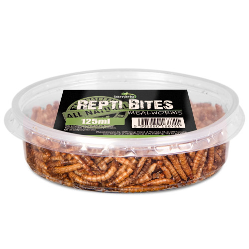 Pokarm suszony dla gadów Terrario Repti Bites Mealworms 125 ml – z suszonych larw mącznika