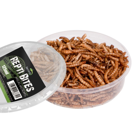 Pokarm suszony dla gadów Terrario Repti Bites Mealworms 125 ml – z suszonych larw mącznika
