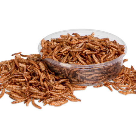 Pokarm suszony dla gadów Terrario Repti Bites Mealworms 125 ml – z suszonych larw mącznika