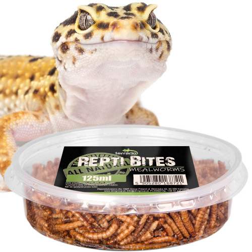 Pokarm suszony dla gadów Terrario Repti Bites Mealworms 125 ml – z suszonych larw mącznika