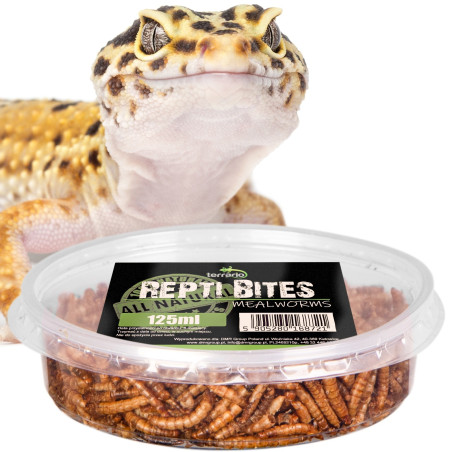 Pokarm suszony dla gadów Terrario Repti Bites Mealworms 125 ml – z suszonych larw mącznika