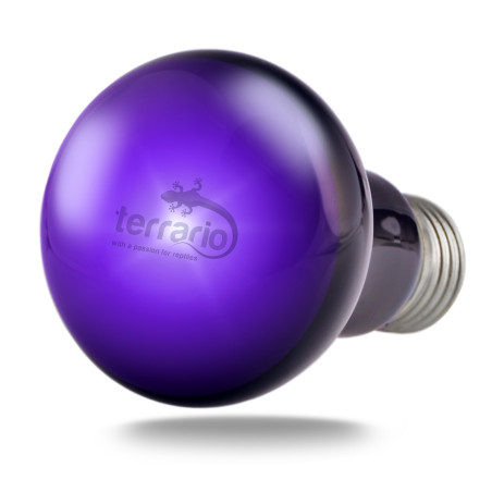 Terrario Manguna Moonlight Lamp - żarówka nocna 50W | Idealna do terrarium