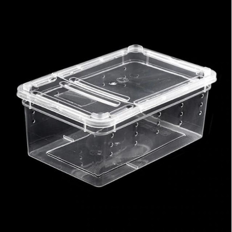 Terrario Terrarium Faunarium 33x22x15cm - Idealne dla małych gadów