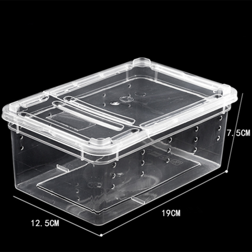 Terrario Terrarium Faunarium 33x22x15cm - Idealne dla małych gadów