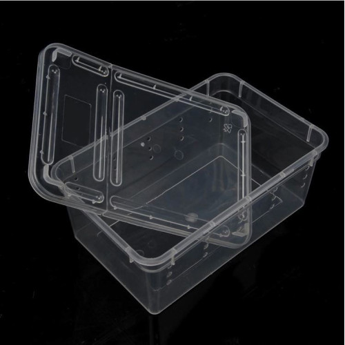 Terrario Terrarium Faunarium 33x22x15cm - Idealne dla małych gadów