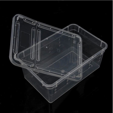 Terrario Terrarium Faunarium 33x22x15cm - Idealne dla małych gadów