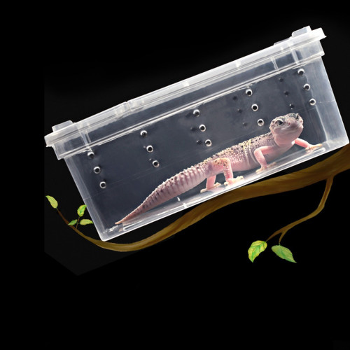 Terrario Terrarium Faunarium 33x22x15cm - Idealne dla małych gadów