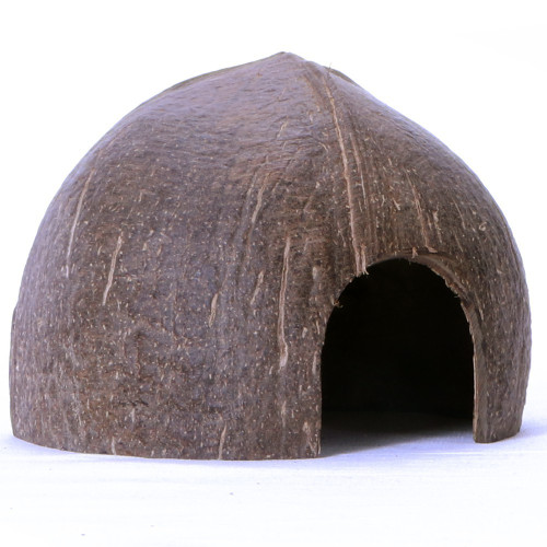 Kryjówka Terrario CocoCave L gładka połówka kokosa