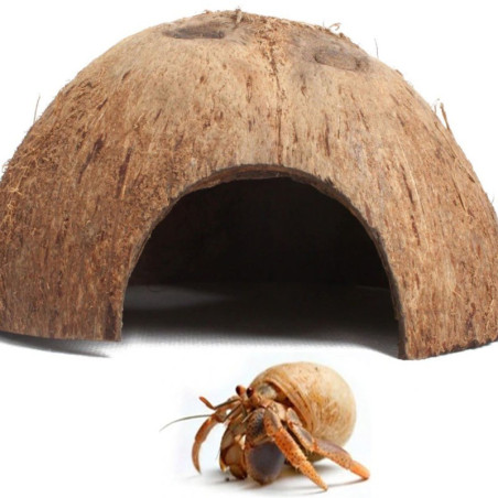 Kryjówka Terrario CocoCave L gładka połówka kokosa