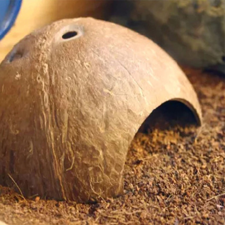 Kryjówka Terrario CocoCave L gładka połówka kokosa