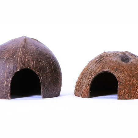 Kryjówka Terrario CocoCave L gładka połówka kokosa