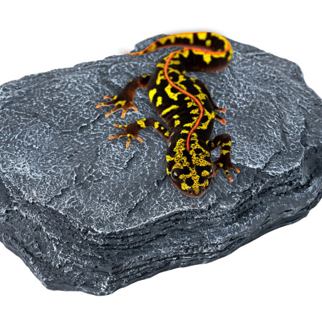 Repti-Zoo Dimmer Heat Rock 8W - kamień grzewczy z regulacją temperatury