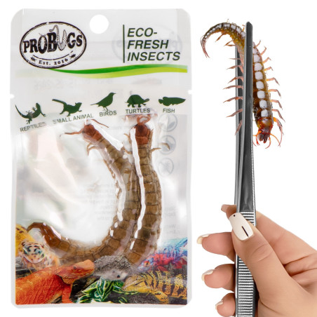 ProBugs Eco-Fresh Scolopendra 15 saszetek - Świeży pokarm dla gadów, szybka wysyłka