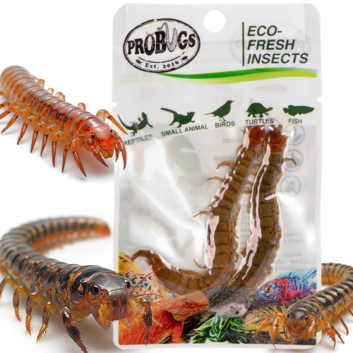 ProBugs Eco-Fresh Scolopendra 15 saszetek - Świeży pokarm dla gadów, szybka wysyłka