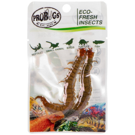 ProBugs Eco-Fresh Scolopendra 15 saszetek - Świeży pokarm dla gadów, szybka wysyłka