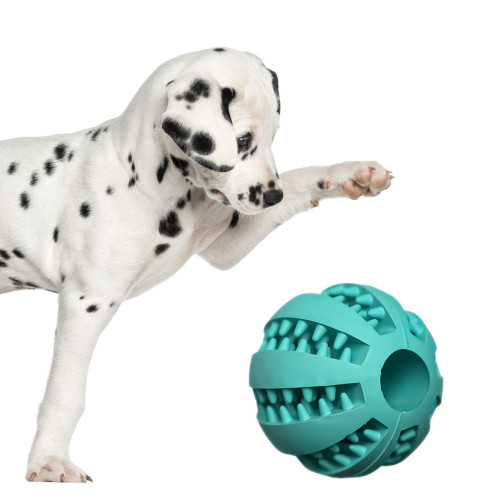 Pet Nova piłka SuperDental Baseball 5cm miętowa - Zdrowe zęby i super zabawa