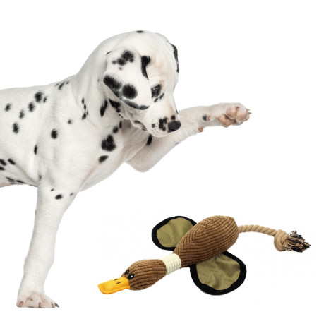 Pet Nova kaczka piszcząca 45 cm - Miękka i trwała, idealna do zabawy psa