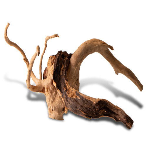 Shizen Essence J-roots S małe korzenie japońskie Mizube i Ryuboku | Idealne do akwarium