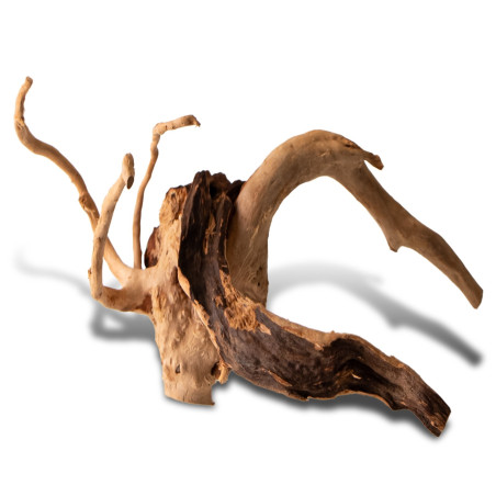 Shizen Essence J-roots S małe korzenie japońskie Mizube i Ryuboku | Idealne do akwarium