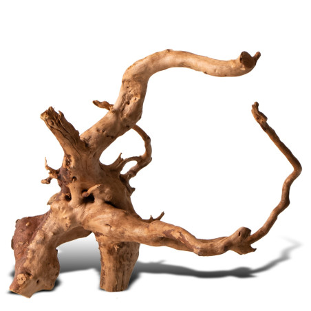 Shizen Essence J-roots S małe korzenie japońskie Mizube i Ryuboku | Idealne do akwarium