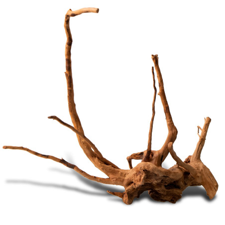 Shizen Essence J-roots S małe korzenie japońskie Mizube i Ryuboku | Idealne do akwarium
