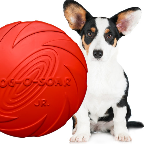 Dysk gumowy Aqua Nova Pet Nova 15 cm czerwony