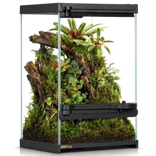 Terrarium szklane Aventerra VETRANO 20x20x30 cm, kompaktowe, idealne dla pająków