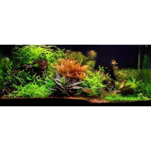 Seachem Flourite 7kg podłoże - Idealne do akwarium roślinnego