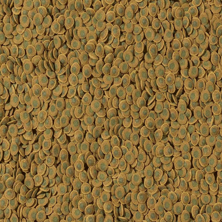 Tetra Pleco VeggieWafers 100ml - pokarm dla ryb roślinożernych dennych | Idealny dla glonojadów