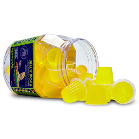 Żelki dla gadów komodo Jelly Pot Pineapple – ananas