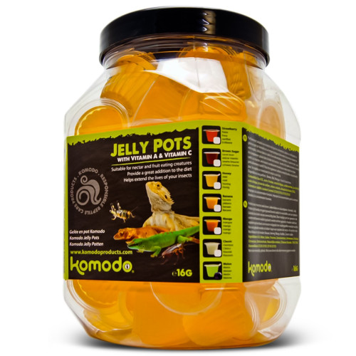 Żelki dla gadów Komodo Jelly Pot Orange, pokarm w żelu o smaku pomarańczy