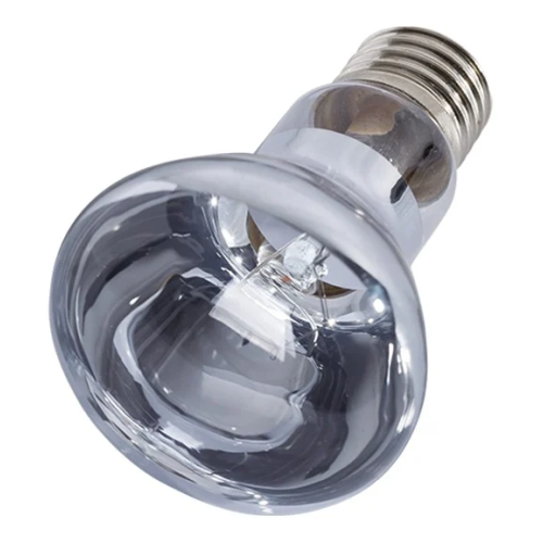 Repti-Zoo Neodymium Daylight 35W - żarówka grzewcza neodymowa | Naturalne światło dla gadów