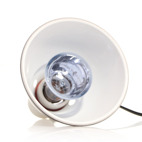 Repti-Zoo Neodymium Daylight 35W - żarówka grzewcza neodymowa | Naturalne światło dla gadów