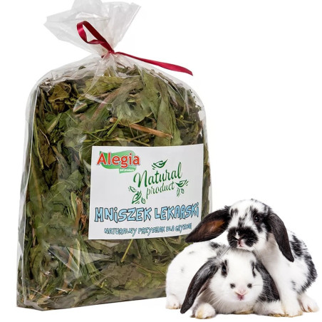 Suszone zioło Alegia Mniszek lekarski 300 g dla gryzoni