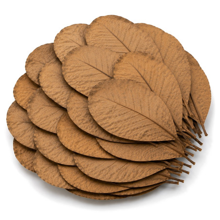 Liście ketapangu Kruger Meier Shrimp Leaves XL 20 szt. - naturalne, obniżające pH wody