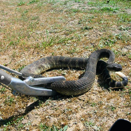 Repti-zoo Snake Tong - metalowy chwytak do węży 100cm | Bezpieczny i precyzyjny chwyt
