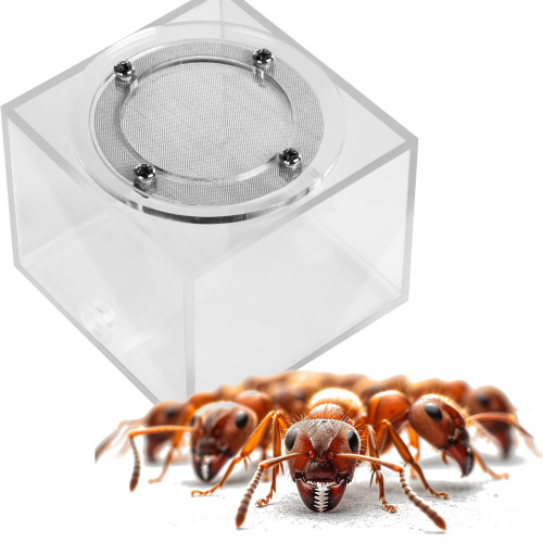 Ant Expert New Land - arena moduł do formikarium | Idealny do obserwacji i hodowli mrówek