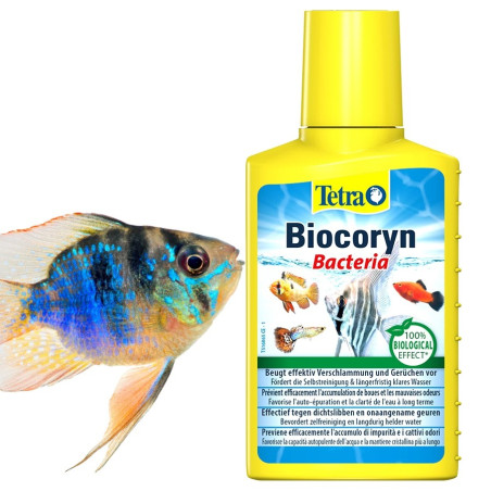 Tetra Biocoryn 100ml - Szybkie usuwanie szkodliwych substancji, bezpieczny dla ryb