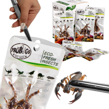 ProBugs Eco-Fresh Scorpion 15 x 3pcs - świeże skorpiony 15 saszetek