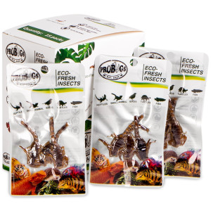 ProBugs Eco-Fresh Scorpion 15 x 3pcs - świeże skorpiony 15 saszetek