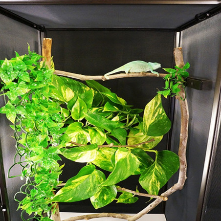 Terrarium Repti-Zoo Aluminiowe 60x45x90 cm, siatkowe