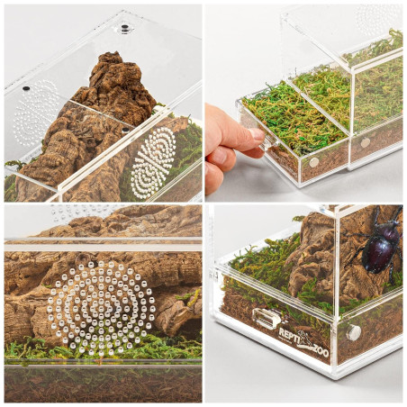 Repti-Zoo Easy Clean Acrylic Terrarium 20x10x10cm - Łatwe czyszczenie dla małych gadów