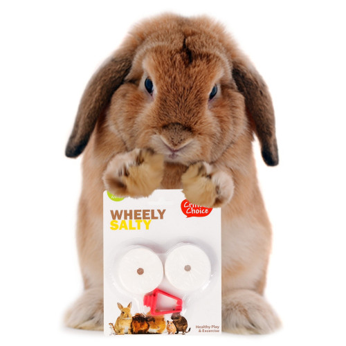 HappyPet Wheely Salty - sól z uchwytem dla gryzoni | Łatwe podwieszenie, naturalne minerały