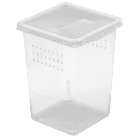 Terrarium Terrario Insect Box High 9x9x11 cm plastikowe