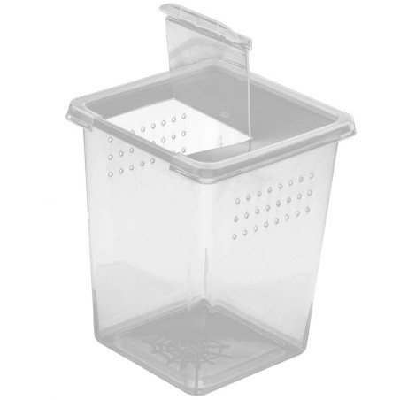 Terrarium Terrario Insect Box High 9x9x11 cm plastikowe