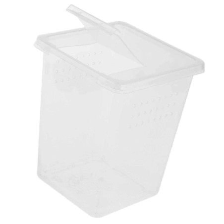 Terrarium Terrario Insect Box High 9x9x11 cm plastikowe