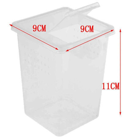 Terrarium Terrario Insect Box High 9x9x11 cm plastikowe