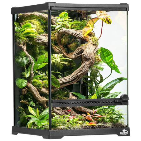Terrarium szklane Terrario Oasis Verde 5 20x20x30 cm