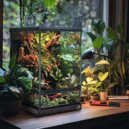 Terrarium szklane Terrario Oasis Verde 5 20x20x30 cm
