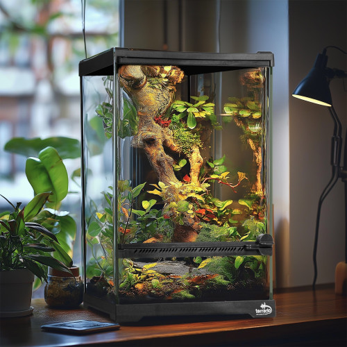 Terrarium szklane Terrario Oasis Verde 5 20x20x30 cm